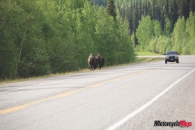 Motorcycle-Mojo_05_Alaska